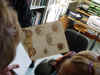 dsc00787.jpg (1338627 Byte)