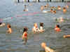 IMG_2766.jpg (49676 Byte)
