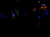 IMG_2981.jpg (17886 Byte)