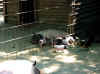 IMG_3054.jpg (44977 Byte)