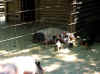 IMG_3055.jpg (45720 Byte)