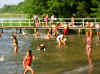 IMG_3120.jpg (61388 Byte)