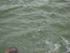 Schulfahrt2005_029.jpg (278547 Byte)