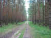 Schulfahrt2005_166.jpg (490881 Byte)
