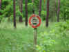 Schulfahrt2005_178.jpg (384247 Byte)