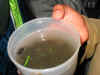 Schulfahrt2005_299.jpg (270604 Byte)