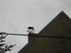 Schulfahrt2005_364.jpg (213168 Byte)