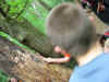 Schulfahrt2005_520.jpg (456146 Byte)