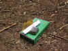 Schulfahrt2005_540.jpg (603004 Byte)