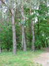 Schulfahrt2005_543.jpg (191987 Byte)