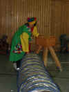 200311.jpg (30939 Byte)