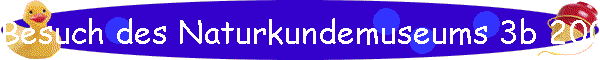 Besuch des Naturkundemuseums 3b 2001/02