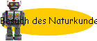 Besuch des Naturkundemuseums 3b 2001/02